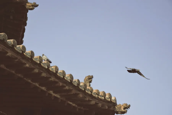 應縣木塔，永遠的神