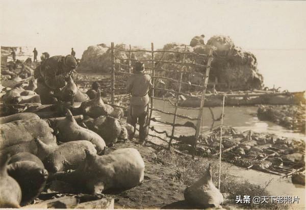 1930年內蒙古包頭老照片 黃河岸邊風貌及五當召 1930年內蒙古包頭老照片 黃河岸邊風貌及五當召