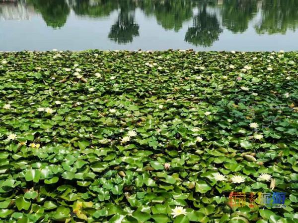 北京城中心的溼地公園，在這裡觸控老北京的脈搏，值得一去再去！