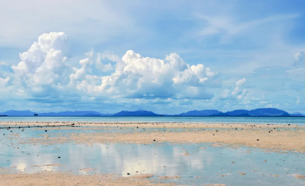 20句深情詩詞:願時光不老,願你我無恙 20句深情詩詞:願時光不老,願你我無恙