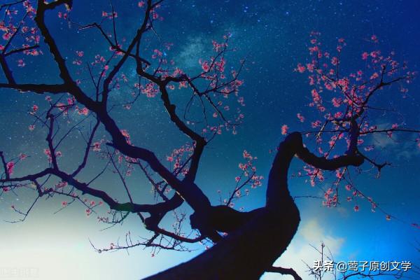 詩詞那些事兒（一）——古體詩和近體詩的二三事