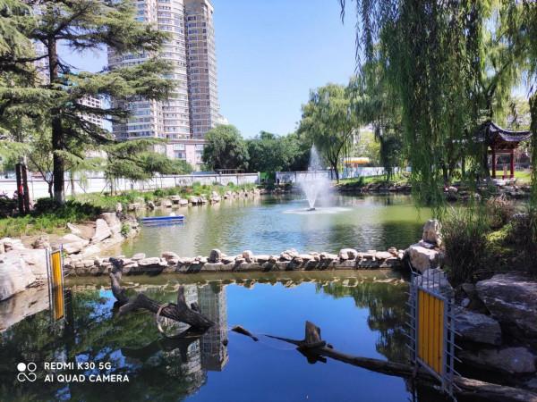 八億人民幣改造的興慶宮公園值嗎 八億人民幣改造的興慶宮公園值嗎