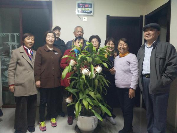 立冬的季節 冬眠的模式