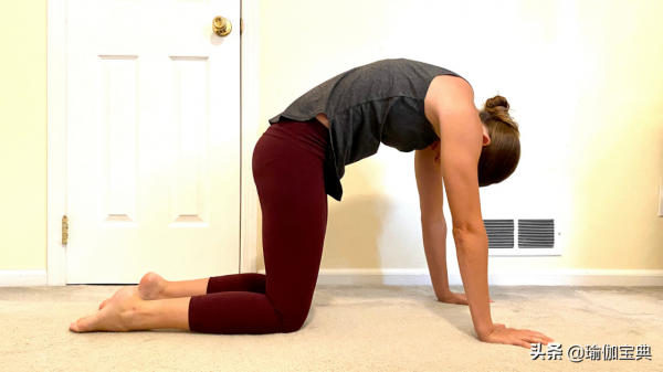 6個瑜伽姿勢加強和伸展你的背肌 如何練習來加強和伸展椎旁肌群