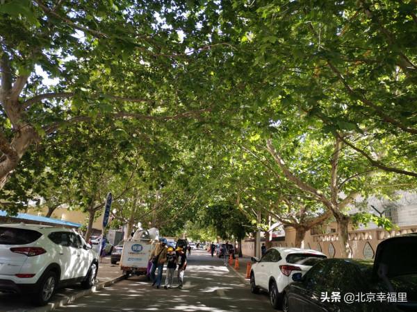 這個緊鄰三環的老小區，為何熱度這麼高？