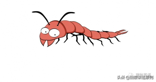 小瑞的雙語之路：一條蜈蚣引發的慘案