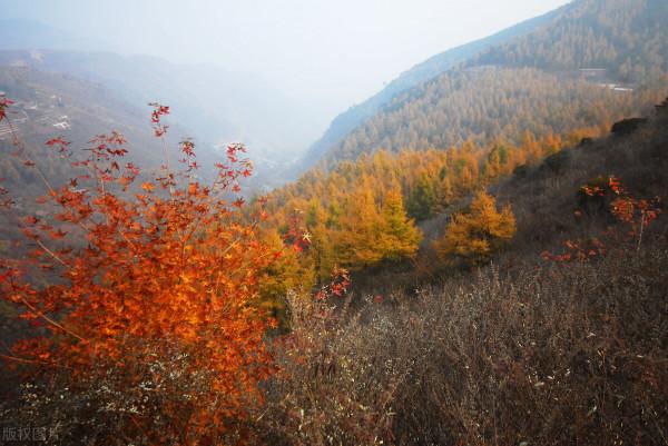 看一看！京西最美的16條登山步道，在京人士的週末有著落了