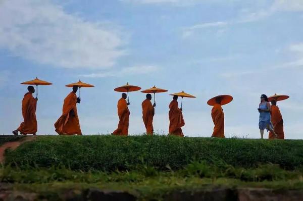 斯里蘭卡--回味無窮的青橄欖