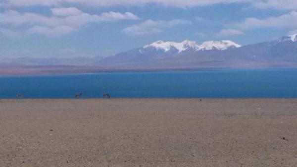 西藏自駕遊絕對不能少了這些景點