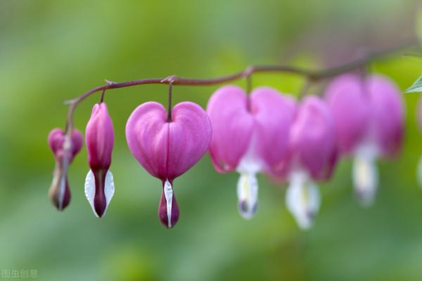 2022年運勢：射手座、獅子座、處女座