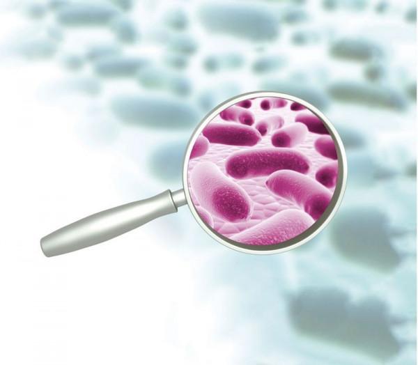 鱟:活了4億年,藍色血液比黃金還貴!被人綁著抽血還吃到瀕危? 鱟:活了4億年,藍色血液比黃金還貴!被人綁著抽血還吃到瀕危?