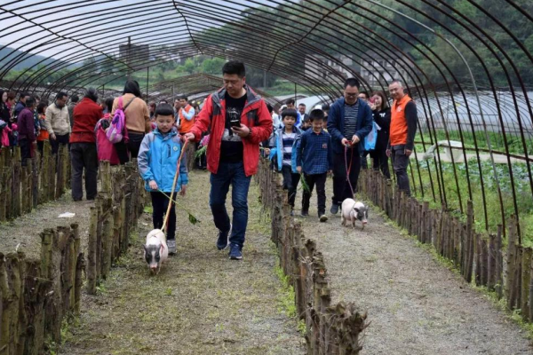 8畝地建小動物農場僅憑2招變網紅打卡地，門票20餵動物10元，啥樣