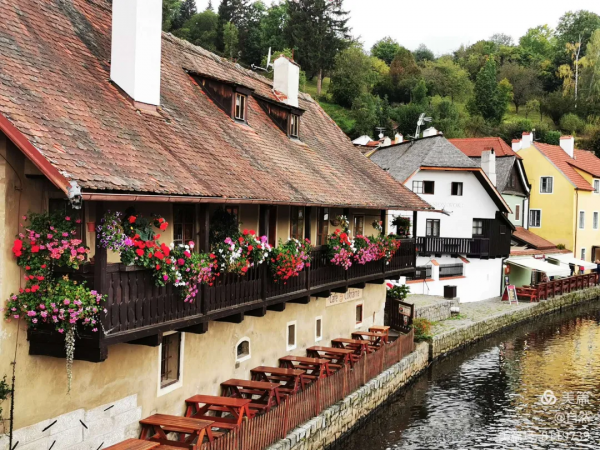 東北花友走遍歐洲著名花園,回國後建了座四季有花的北方花園 東北花友走遍歐洲著名花園,回國後建了座四季有花的北方花園