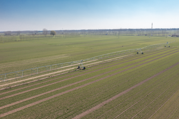 河南：數字賦能助力農業現代化轉型