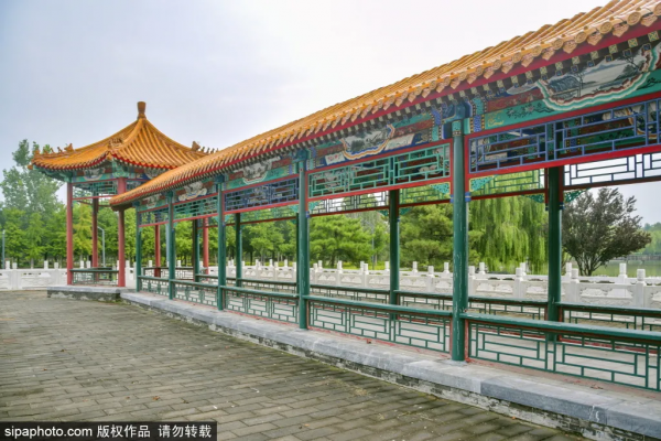 免費!這幾個公園風景如畫,還有竹林、大草坪~ 免費!這幾個公園風景如畫,還有竹林、大草坪~