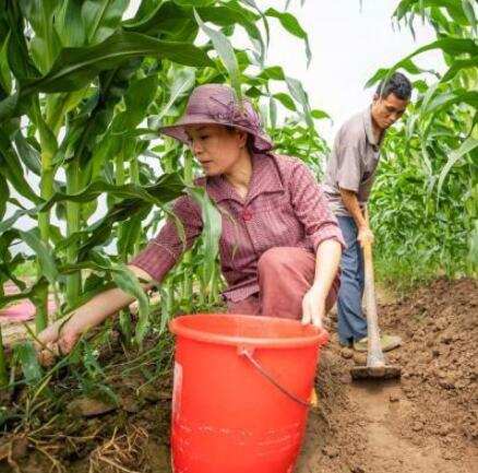 46歲浙江女人，丈夫車禍得了抑鬱症，她帶著老公跳舞，還登上央視