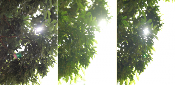 「御成測評」標準定焦哪家強？索佳尼50 1.2對比橫評