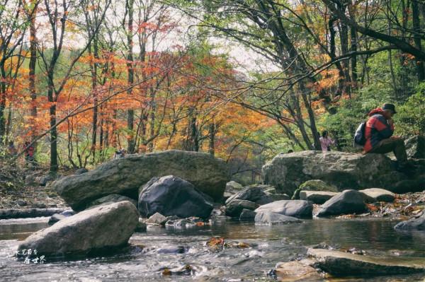 退休後的每年秋天，我都會去本溪同一個景區觀賞紅葉，從未失望過