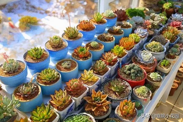 他賣掉城裡的房子，包了個山頭，打造集裝箱陽光房、小木屋、花園