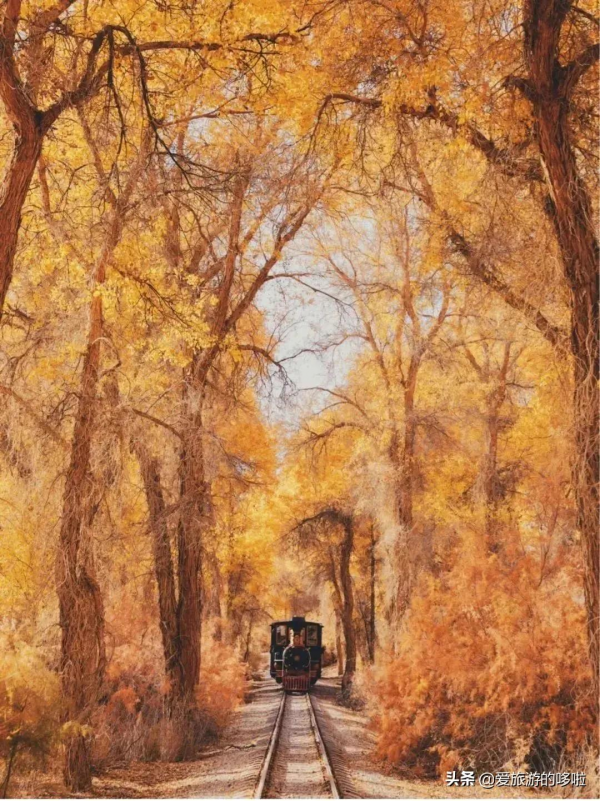 第一次去新疆怎麼玩！花了1個月總結出的保姆級攻略送上