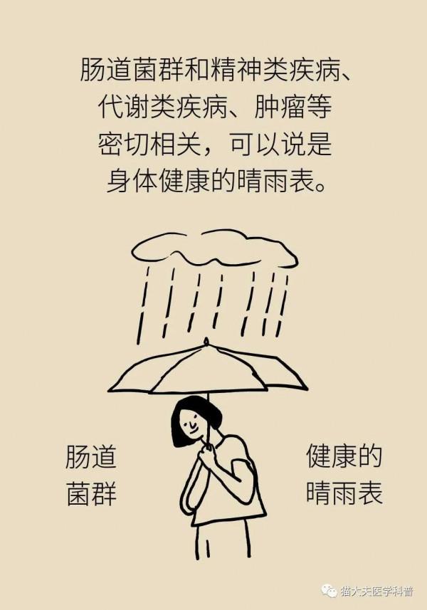 腸子能決定腦子？有趣的“腸-腦軸”瞭解一下