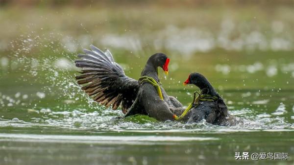 旗艦超越期待，春曉索尼Alpha 1試用體驗