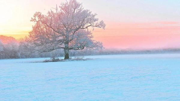 2021年12月22日十二星座運勢 2021年12月22日十二星座運勢