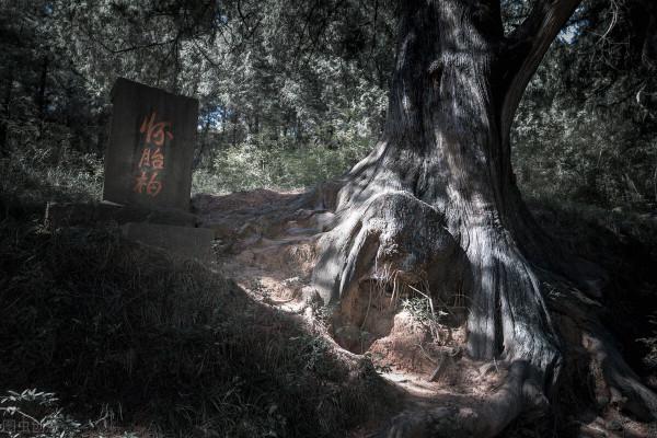 漫步攔馬牆，來一場穿越時空之旅，看金牛古道的前世今生