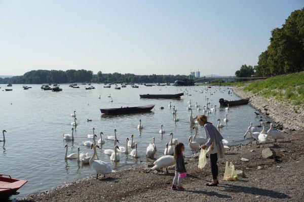 2019暑假塞爾維亞、波黑之旅（2）