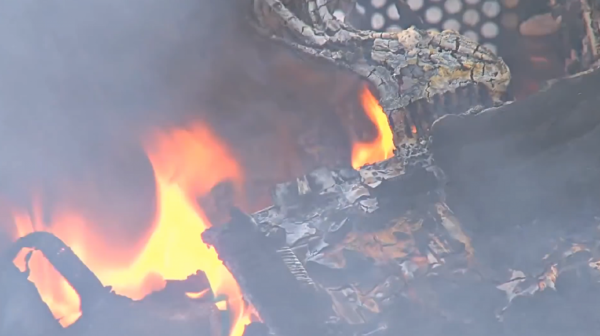 為何網傳5G會致癌？5G已被蜥蜴人控制？5G背後的真相到底是什麼？