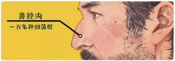 奇怪的冷知識：人體最髒的部位是其實是鼻腔
