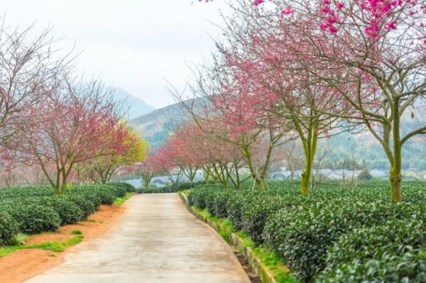 2022年旅行計劃,按著月份走,一鍵解鎖各大美景,快快收藏 2022年旅行計劃,按著月份走,一鍵解鎖各大美景,快快收藏