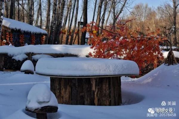 龍棲湖冰雪樂園開門迎客，激情體驗助力北京冬奧