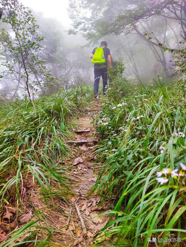 石家莊井陘錦山，雲鎖群山、霧漫叢林，雲橋飛渡，一顆橡果落下來