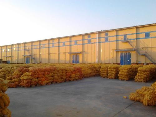 2019年，400噸中央儲備糧突然不翼而飛，是有內鬼還是江洋大盜？