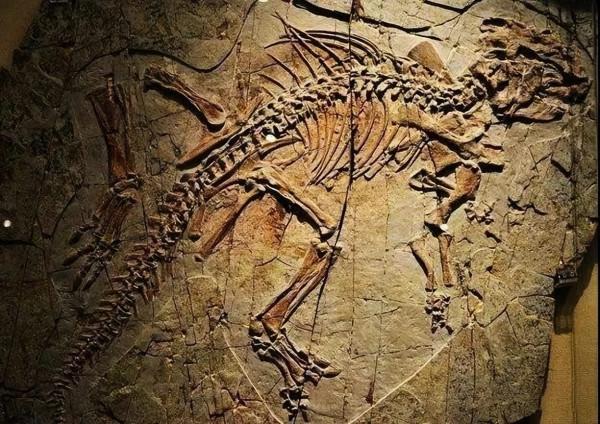 最後兩條龍被夏朝人吃了是怎麼一回事? 最後兩條龍被夏朝人吃了是怎麼一回事?