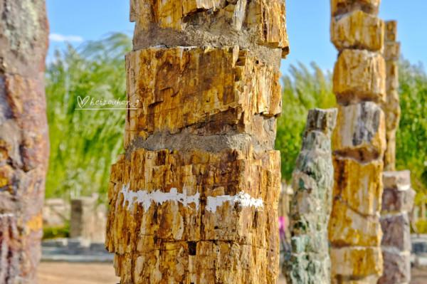 浙江遊記 | 藏在紹興佛寺裡的北緯30度“神秘遺蹟”
