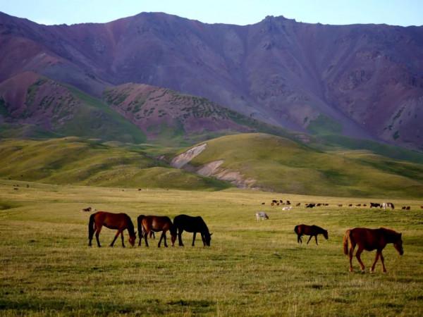 天山行之（二）空中草原託乎拉蘇