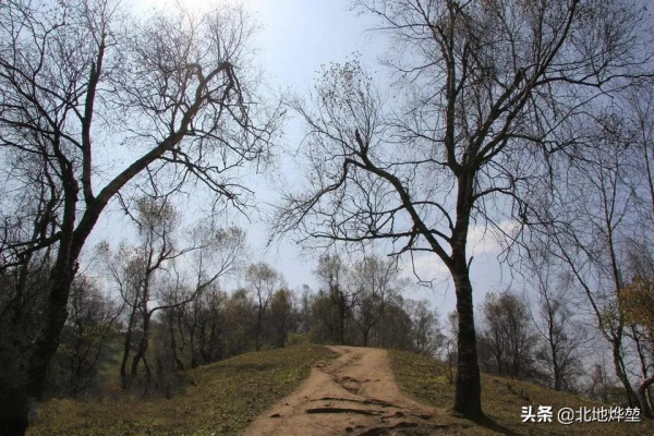 分享一組關山牧場的原生態秋景 分享一組關山牧場的原生態秋景