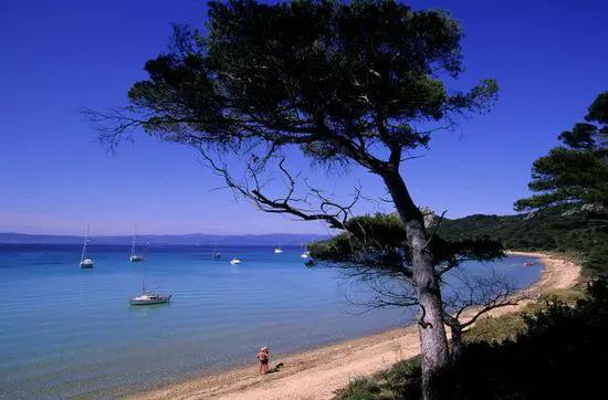旅遊正文美麗的大自然，多彩的風景美麗的大自然，彩色的大自然快
