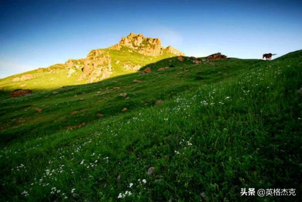 河北“空中草原”景觀,綠草如茵、野花遍地,海拔高達2158米 河北“空中草原”景觀,綠草如茵、野花遍地,海拔高達2158米