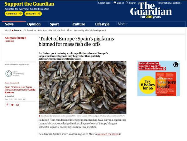 西方培養豬界藝術家，一幅畫賣17萬元！又要藉機指責中國人吃肉？