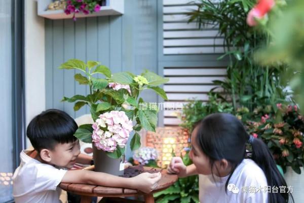 沒有別墅也要給孩子一個花園