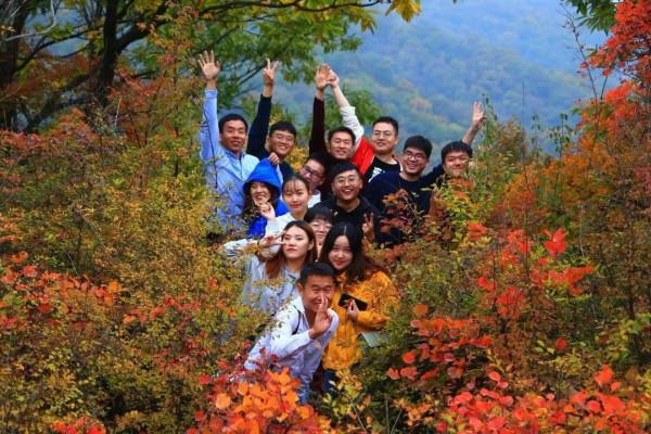 免門票!萬畝紅葉正當時,週末相約雲臺山 免門票!萬畝紅葉正當時,週末相約雲臺山