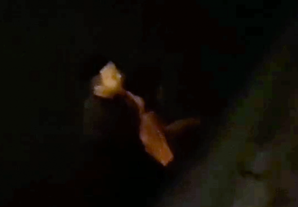 點贊！學員李文新安，你跳湖救人的樣子真的很帥