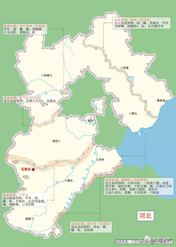 科學放流指南 &vert;（五）增殖放流水域在哪裡？放流物種怎麼選？
