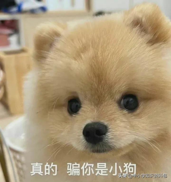 如果用古詩詞來表達網路流行語…… 如果用古詩詞來表達網路流行語……