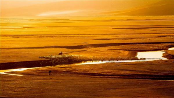 天蒼蒼 野茫茫 塞上草原秋色正好