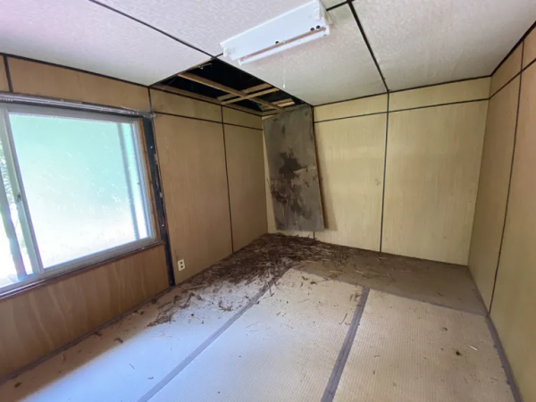 日本大哥花幾萬塊在荒野買了棟房子，居然還附贈小橋河流和瀑布？