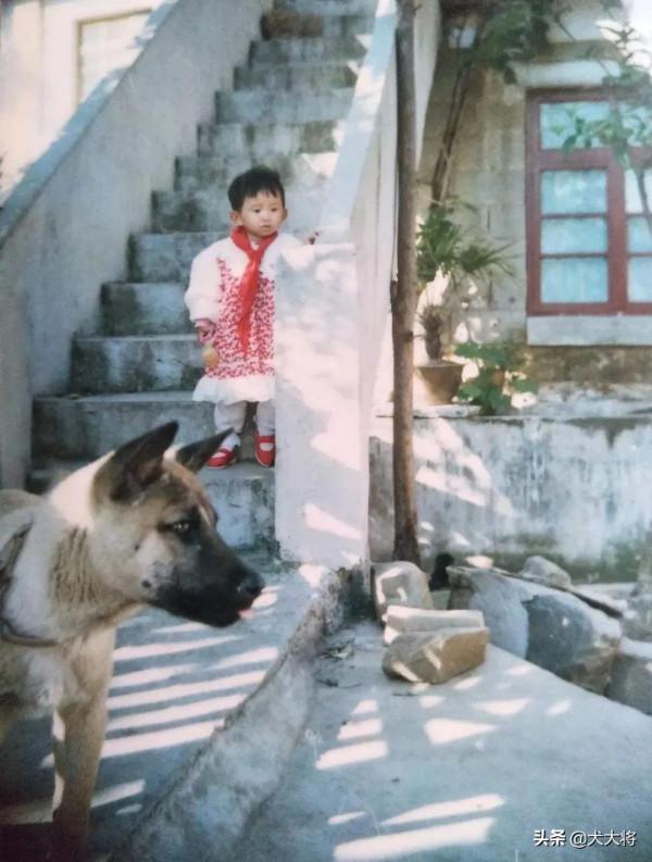 死去的狗子會回來找我們嗎？我用親身經歷告訴你，感動的我想哭